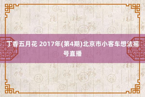 丁香五月花 2017年(第4期)北京市小客车想法摇号直播