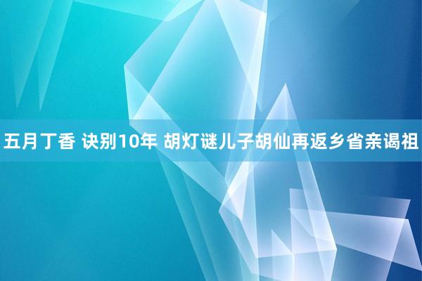 五月丁香 诀别10年 胡灯谜儿子胡仙再返乡省亲谒祖