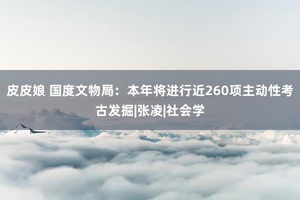 皮皮娘 国度文物局：本年将进行近260项主动性考古发掘|张凌|社会学