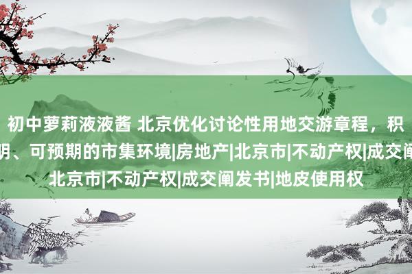 初中萝莉液液酱 北京优化讨论性用地交游章程，积极营造 平正、透明、可预期的市集环境|房地产|北京市|不动产权|成交阐发书|地皮使用权