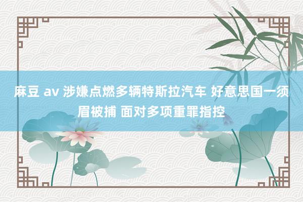 麻豆 av 涉嫌点燃多辆特斯拉汽车 好意思国一须眉被捕 面对多项重罪指控