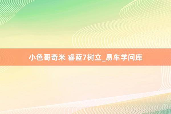 小色哥奇米 睿蓝7树立_易车学问库