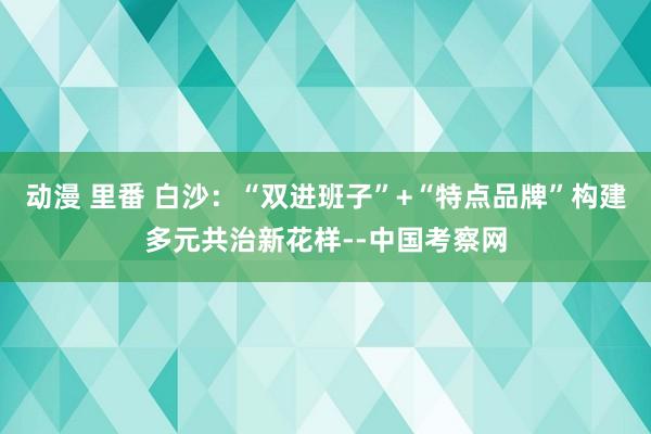 动漫 里番 白沙：“双进班子”+“特点品牌”构建多元共治新花样--中国考察网