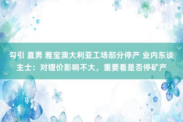 勾引 直男 雅宝澳大利亚工场部分停产 业内东谈主士：对锂价影响不大，重要看是否停矿产