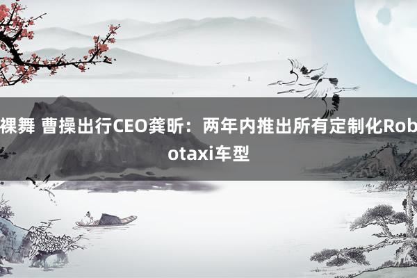 裸舞 曹操出行CEO龚昕：两年内推出所有定制化Robotaxi车型