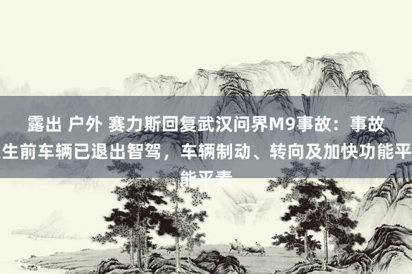 露出 户外 赛力斯回复武汉问界M9事故：事故发生前车辆已退出智驾，车辆制动、转向及加快功能平素