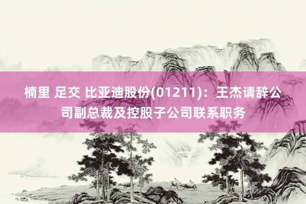 楠里 足交 比亚迪股份(01211)：王杰请辞公司副总裁及控股子公司联系职务