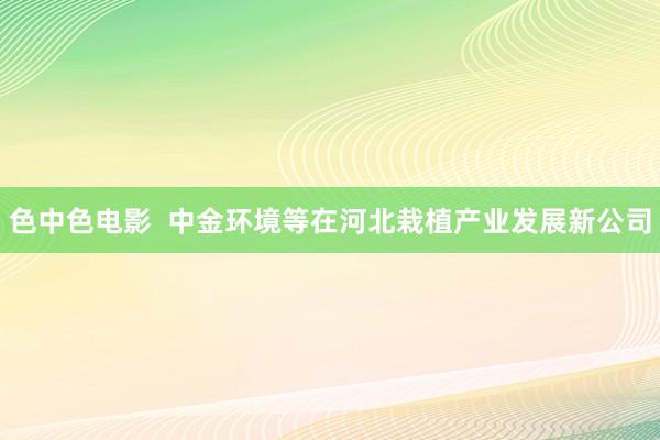 色中色电影  中金环境等在河北栽植产业发展新公司