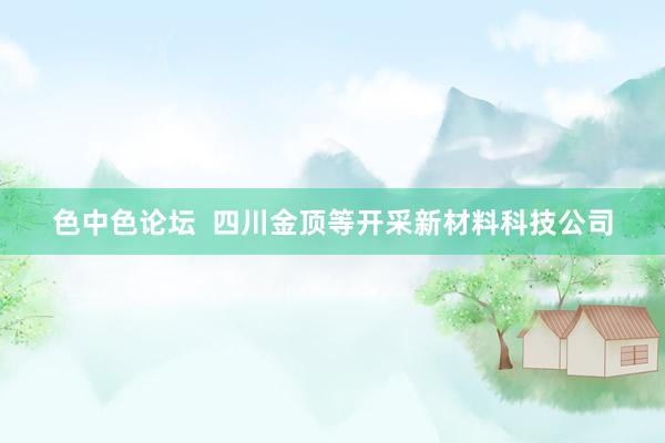 色中色论坛  四川金顶等开采新材料科技公司